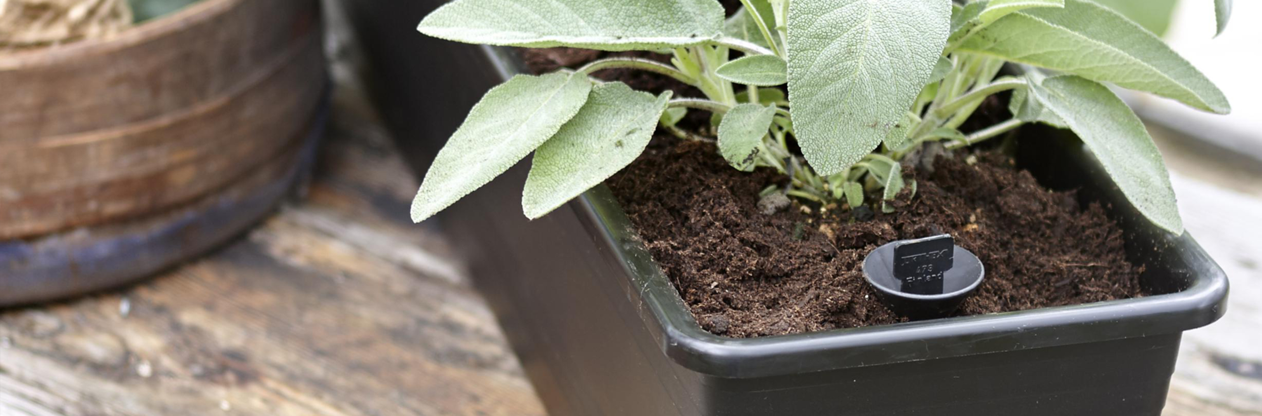 Self-watering window boxes