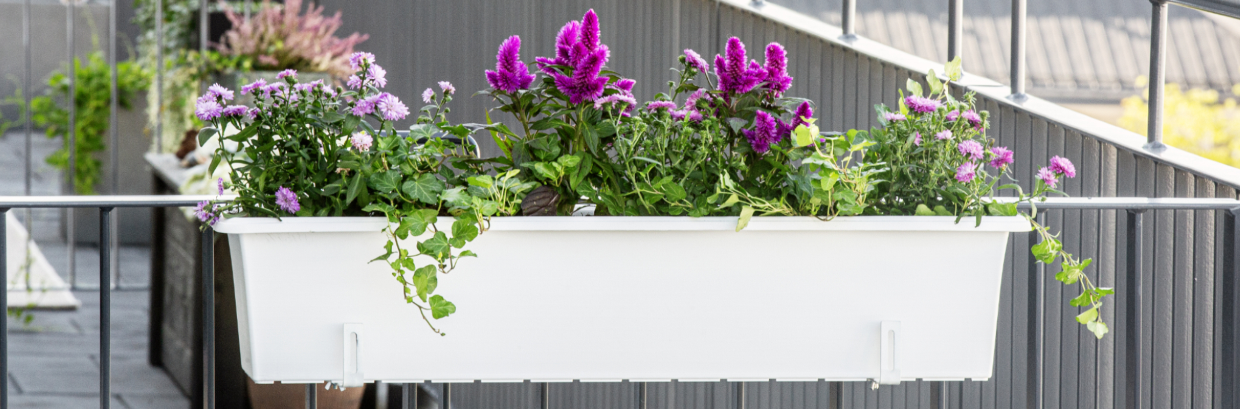 Basic window boxes