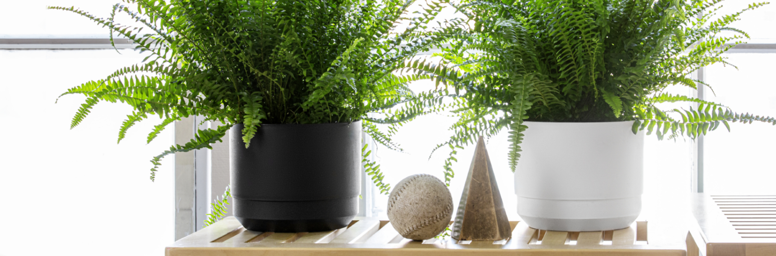 Self-watering pots in recycled material