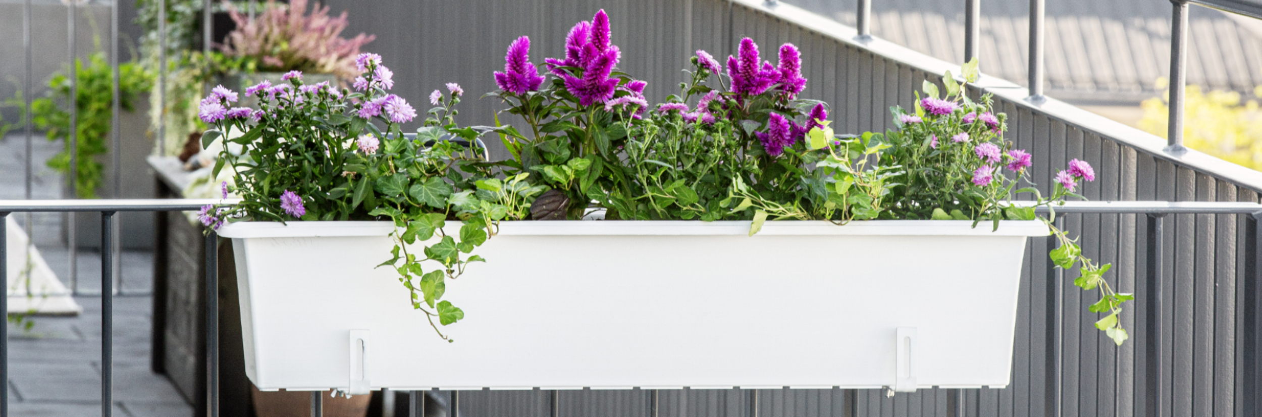 Recycled material Window boxes