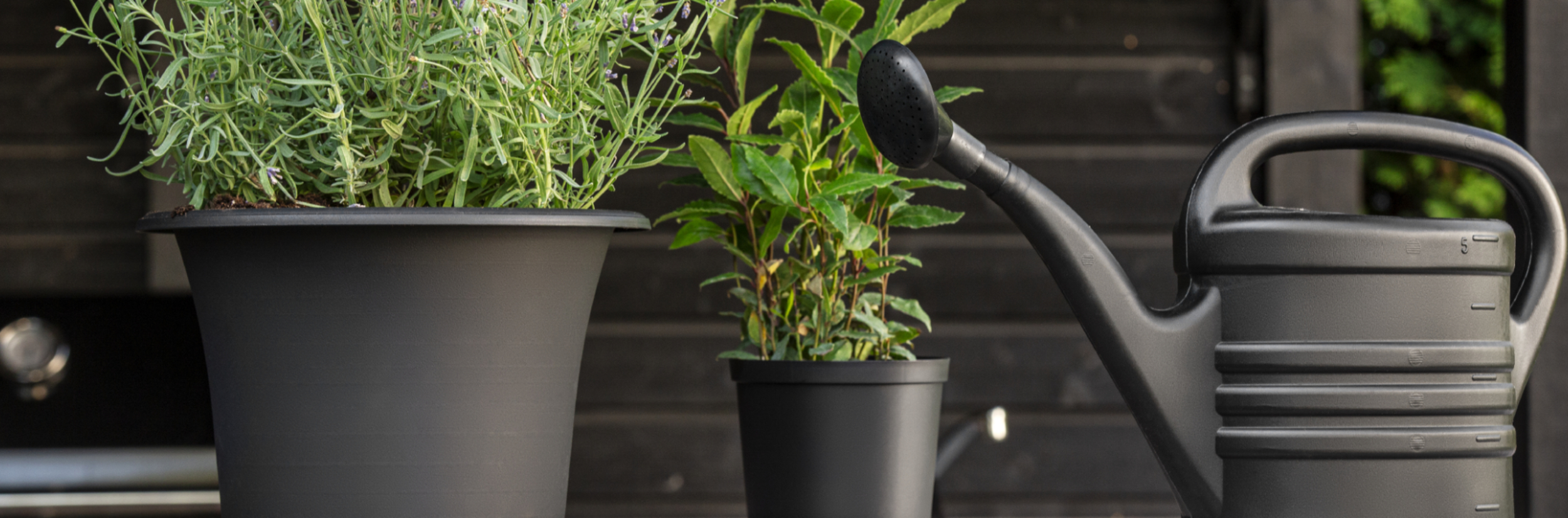 Watering cans in recycled material