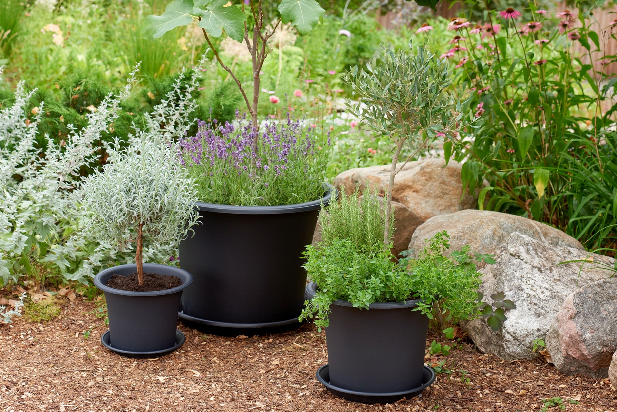 Plant care made from recycled plastic