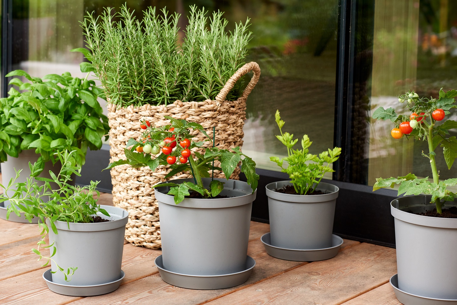 Orthex Cultivate pots made from recycled plastics