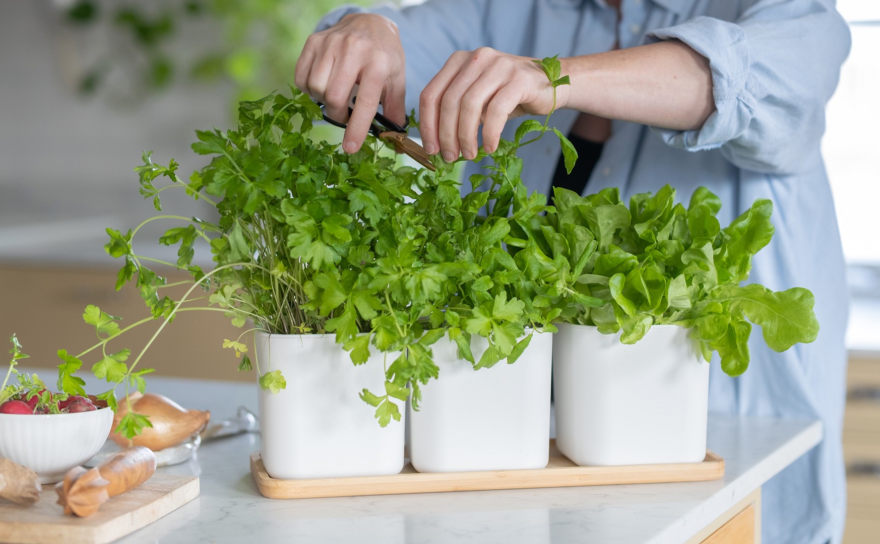 Eden herb pots