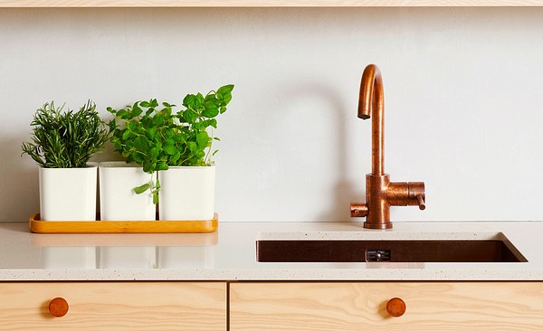 Orthex Eden herb pot