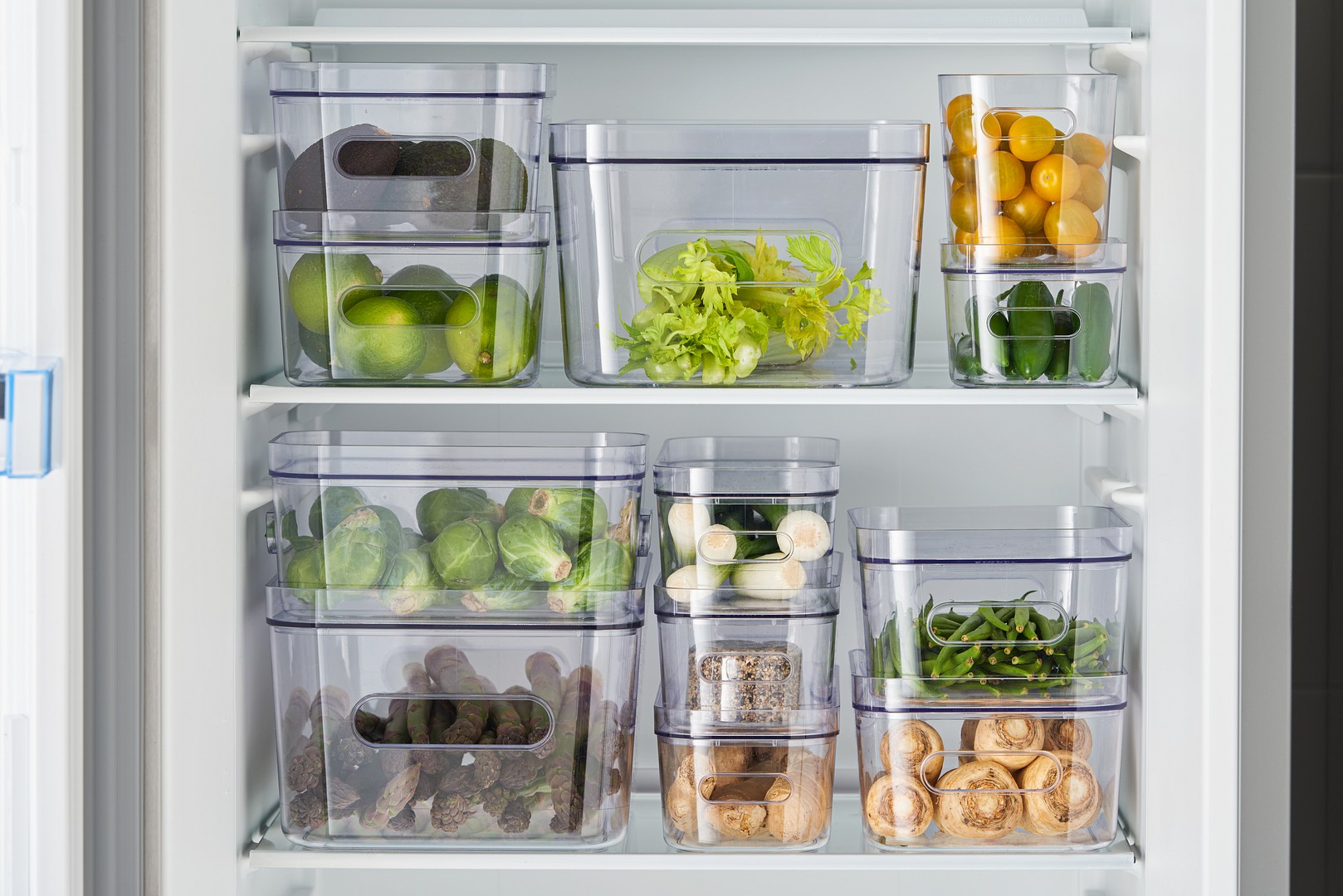 SmartStore Compact Clear storage containers in a fridge