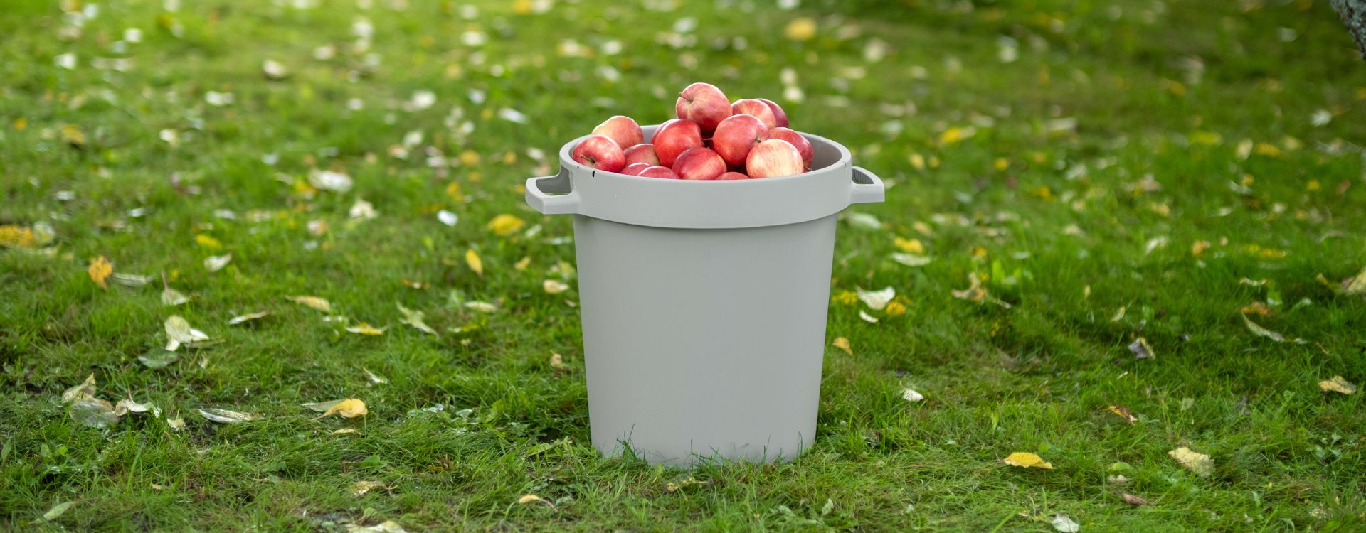 Make use of what nature gives you