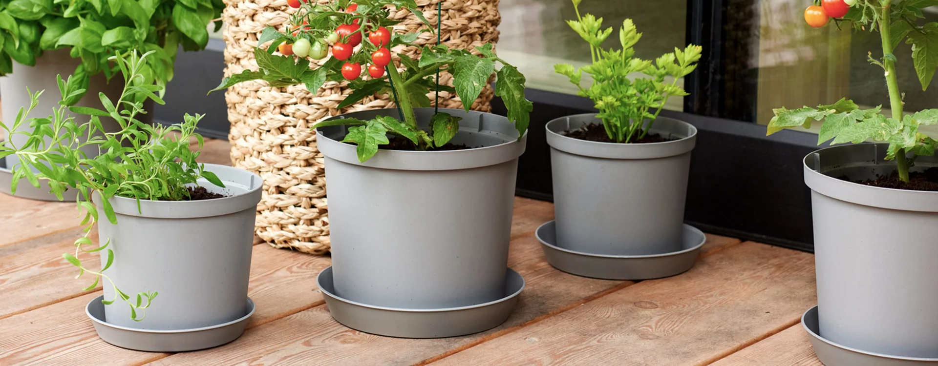 Grow your own