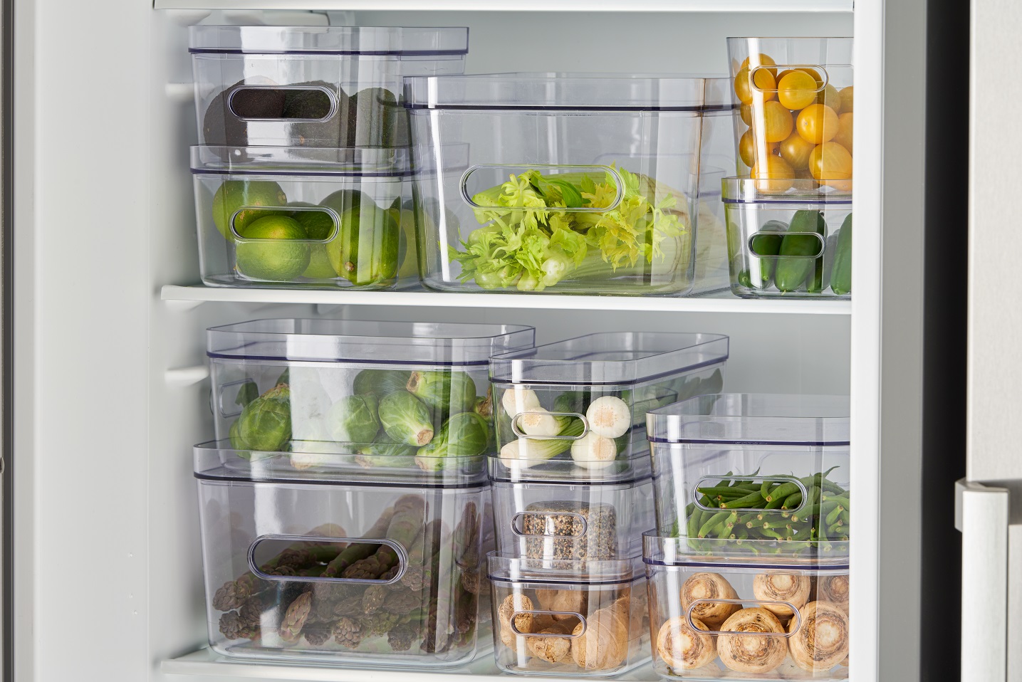 Organize and sort in the fridge